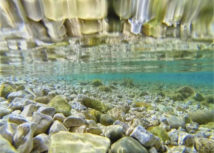 In With Adriatic Views בית נופש ביבינייה