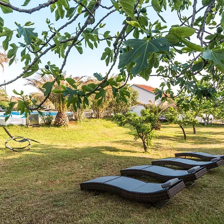 Modern With Great Sea View Bibinje